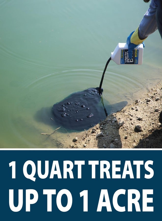 ايرماكس صبغة برك إيرماكس ناتشرز بلو المركزة 4X للبرك والبحيرات الخارجية، لون طبيعي للبرك ومعزز للجمال، ملون آمن للسباحة، سهل الاستخدام، 1 كوارت - Image 3